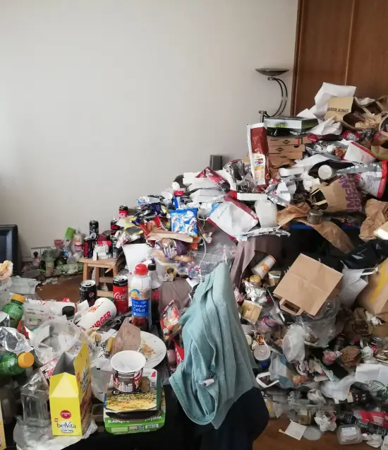 Reinigung und Desinfektion von unhygienischen Wohnungen (Diogenes-Syndrom) in Mulhouse